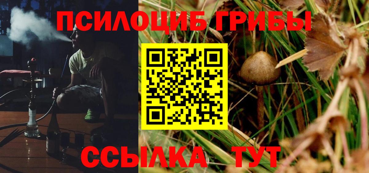 Псилоцибиновые грибы Cubensis Мичуринск