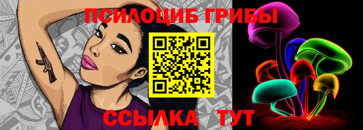 Мичуринск  Галлюциногенные грибы Psilocybe  Вход с VPN 